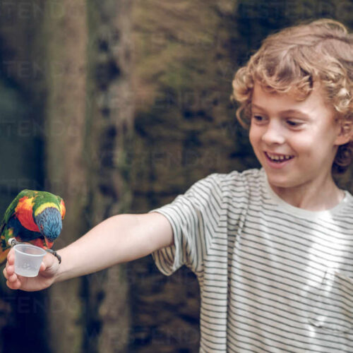 Animal Charity Awards Aberdeen Boy