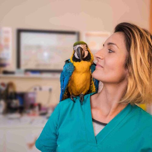 Meet & Greet Adoption Event